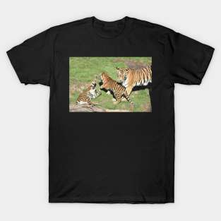 Tigers T-Shirt